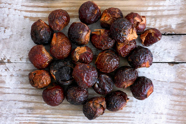 istock Heap of soap nuts on wooden background. 1038228322
