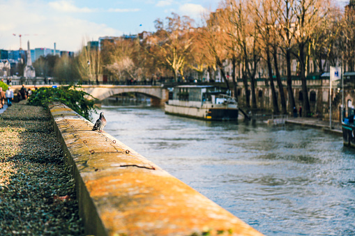 Seine river bank in Paris, France.