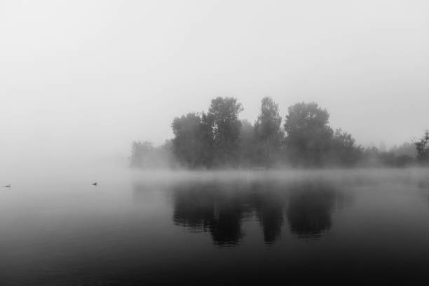 istock Reflection Of Trees In Lake Against Sky 1038238416