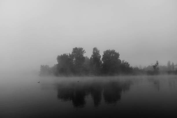 istock Scenic View Of Lake Against Sky 1038238432