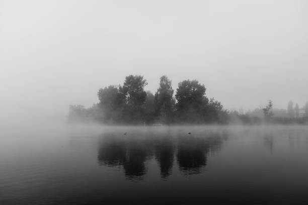 istock Reflection Of Trees In Lake Against Sky 1038238472