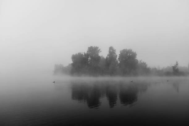 istock Scenic View Of Lake Against Sky 1038238480
