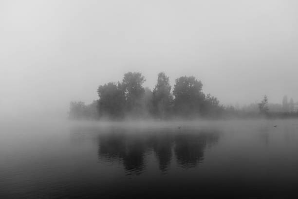 istock Trees By Lake Against Sky 1038238492