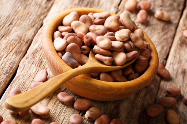 木製のボウルに大型乾燥そら豆のクローズ アップ。水平方向 - broad bean bean bowl brown ストックフォトと画像