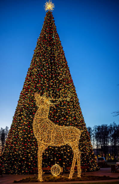 istock Christmas Tree and Lights in Riga Latvia 1038261290