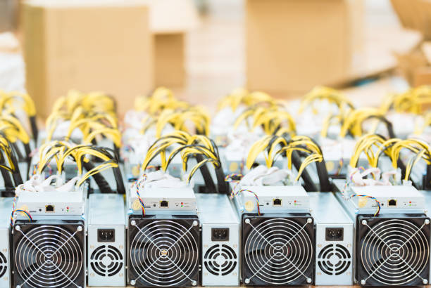 Rows of dedicated ASIC for cryptocurrency mining farm. Bitcoin, Ethereum and other altcoins producing rig. Rows of dedicated ASIC for cryptocurrency mining farm. Bitcoin, Ethereum and other altcoins producing rig. cryptocurrency mining photos stock pictures, royalty-free photos & images