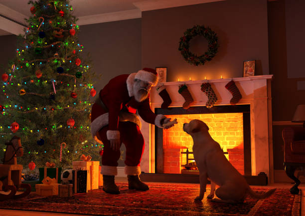Santa Giving a Present to a Dog Digital image of Santa Claus offering a bone-shaped dog biscuit to a dog. The scene is set in front of fireplace, in a typical living room, with a Christmas tree and presents. Santa is leaning down to the dog, and the dog's face and Santa's outstretched hand are silhouetted by the bright interior of the fireplace. dog biscuit photos stock pictures, royalty-free photos & images