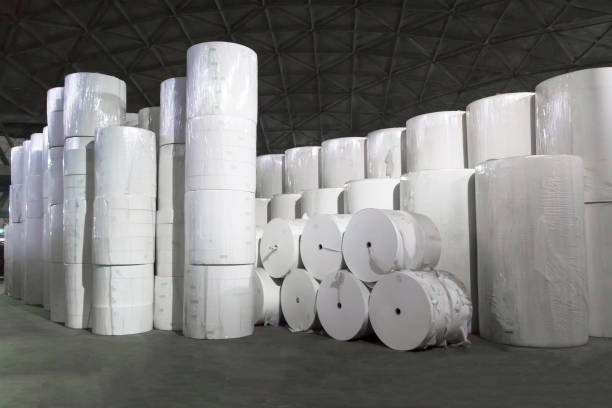 istock Stacked industrial white paper rolls 1038268940