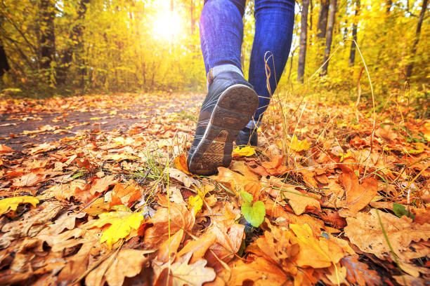 Young girl in jeans and sneakers on his feet, walks through the fall leaves on the road in the woods in the sunshine outdoors stock photo