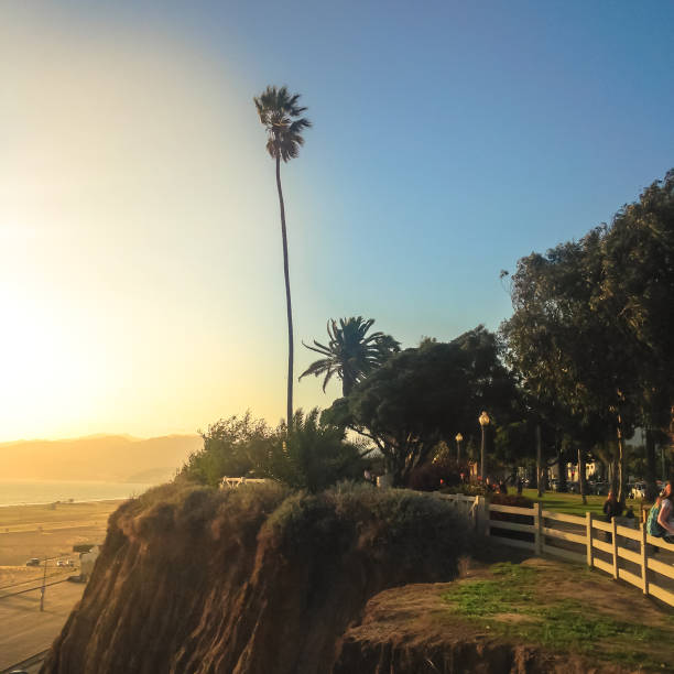 istock Los Angeles, Hollywood sunset on the coast. 1038293200