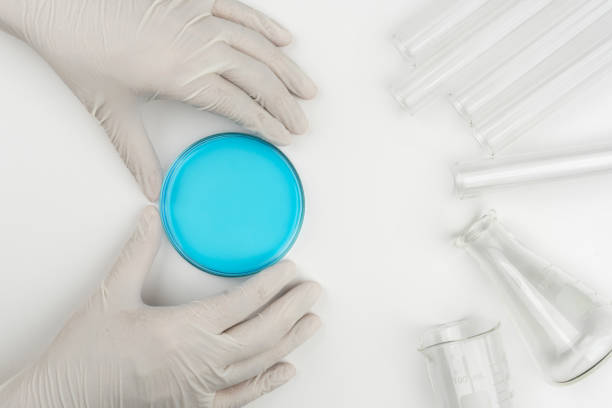 青い液シャーレを保持している科学者 - scientist research group of people analyzing ストックフォトと画像