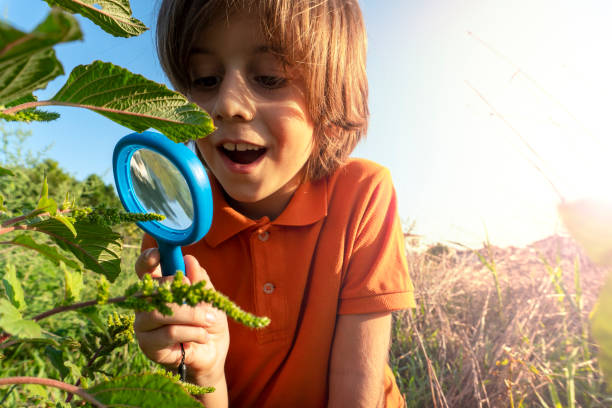 istock Child doing research in nature. 1038322378
