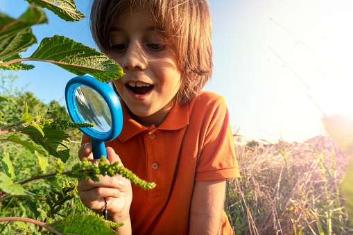 Child doing research in nature.