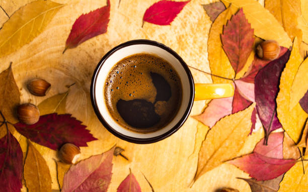 istock Cup of coffee in and fallen leaves 1038327268