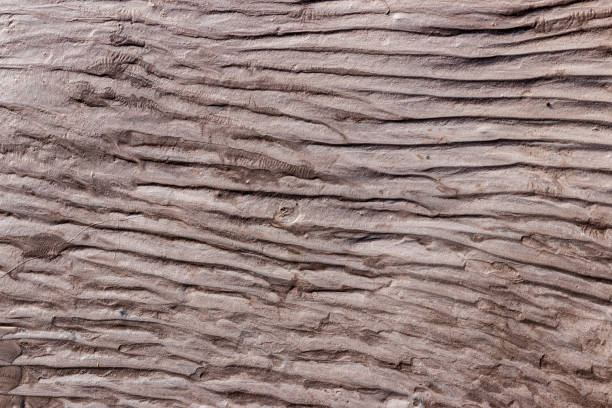 margem do rio glacial com barro molhado preto silte areia - silt sand textured black sand - fotografias e filmes do acervo