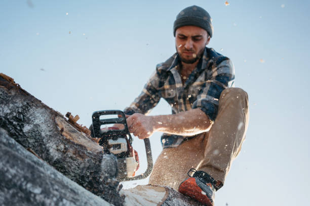 istock Bearded strong lumberjack wearing plaid shirt using chainsaw for work on sawmill.  Wooden chips fly apart 1038343806
