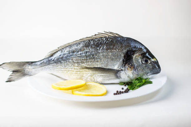 istock Raw sea bream on a plate 1038344220