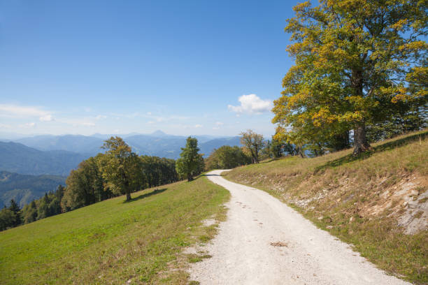 beautiful view from Mount Muckenkogel, Lilienfeld, Niederösterreich