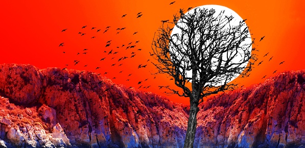 Fantasy collage of red sunset with dry dead tree silhouette and black birds