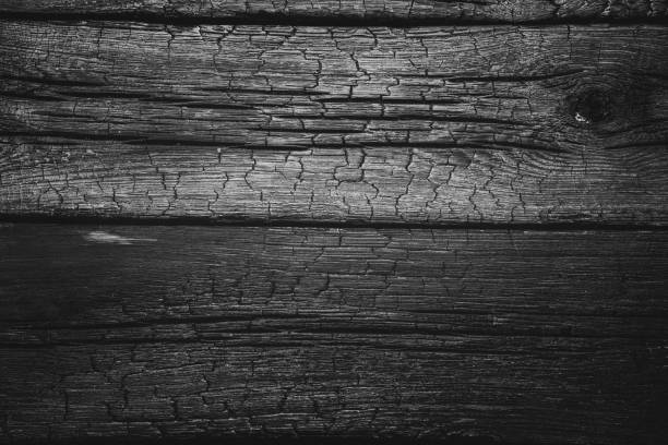 burned wood texture