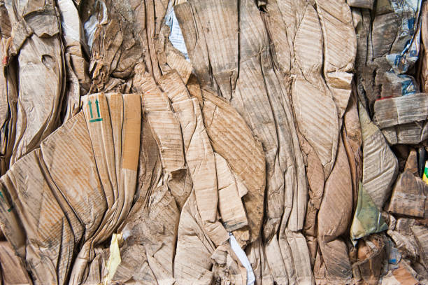 istock Waste recycling factory 1038364816