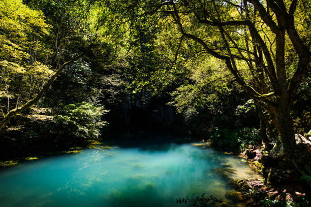 istock Krupaj vrelo a natural water well in Serbia 1038367808