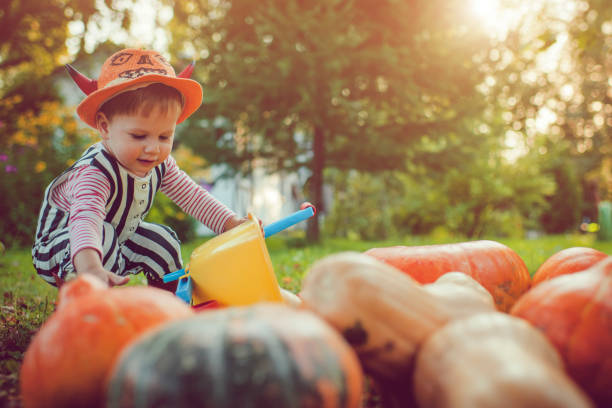 istock Cute boy with pumpkins in autumn 1038371652