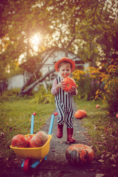 istock Cute boy with pumpkins in autumn 1038371816