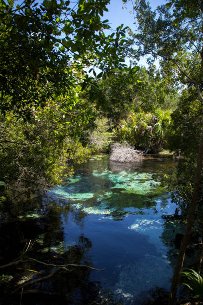istock Silver Glen Springs Recreation Area 1038372892