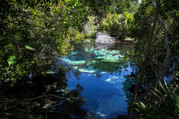 istock Silver Glen Springs Recreation Area 1038372950