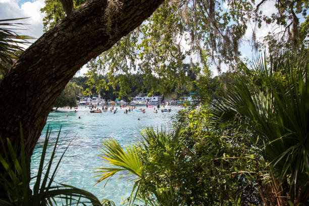 Enjoying a beautiful day at the springs