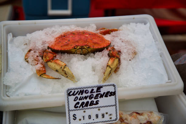 130+ Fresh Dungeness Crab On Ice Stock Photos, Pictures & Royalty-Free