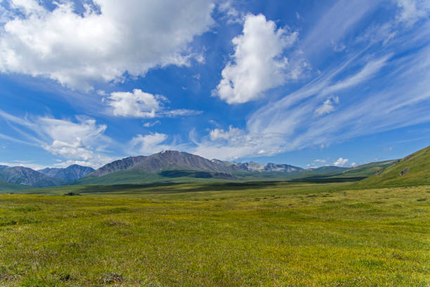 istock Oroi mountain pass. Altai, Russia. 1038401536