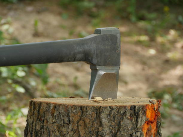 istock chopping wood with an ax 1038407328