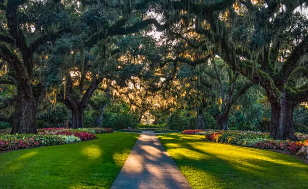 Photo of Brookgreen Gardens in Myrtle Beach, South Carolina, USA