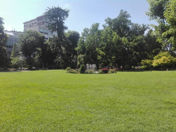 istock The Green of Cremona 1038436480