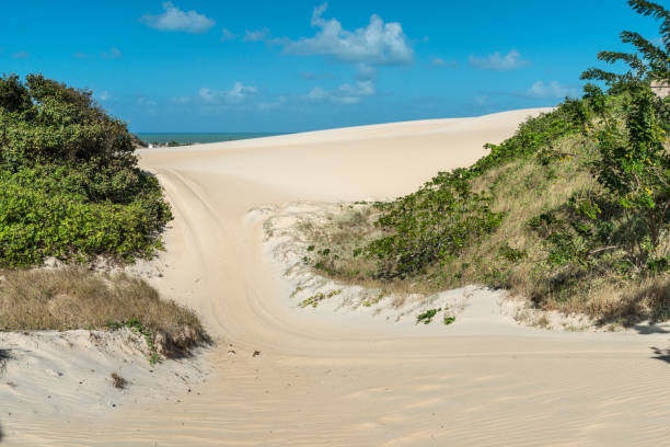 istock Bugre tire track on sand dunes in Natal RN 1038447398