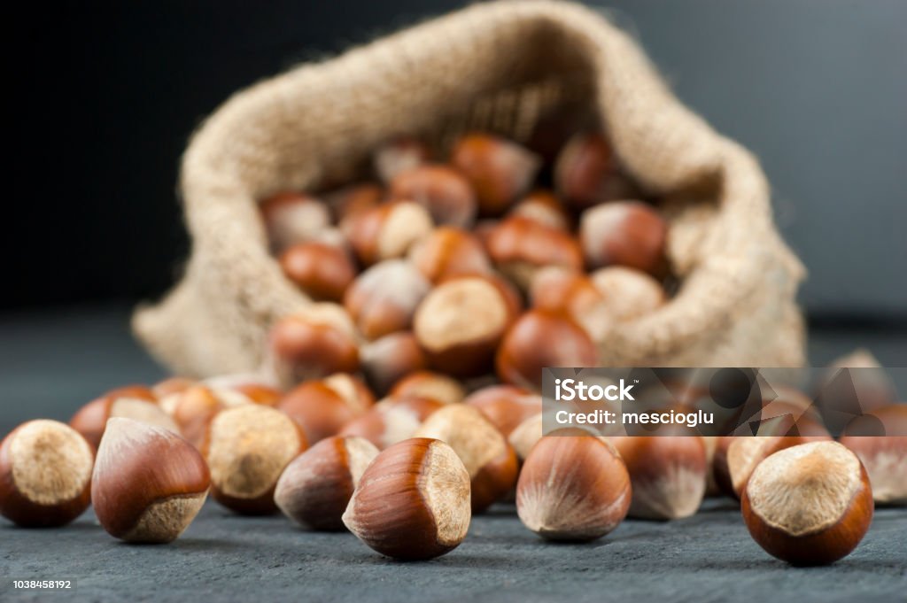 Hazelnuts, filbert in burlap sack on wooden backdrop. heap or stack of hazelnuts. Hazelnut background, healty food Hazelnut Stock Photo