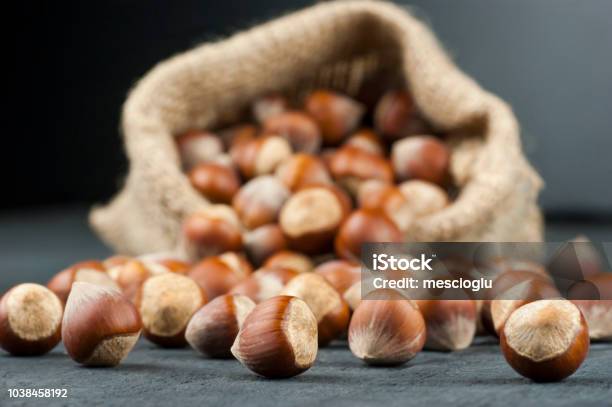 Hazelnuts Filbert In Burlap Sack On Wooden Backdrop Heap Or Stack Of Hazelnuts Hazelnut Background Healty Food Stock Photo - Download Image Now