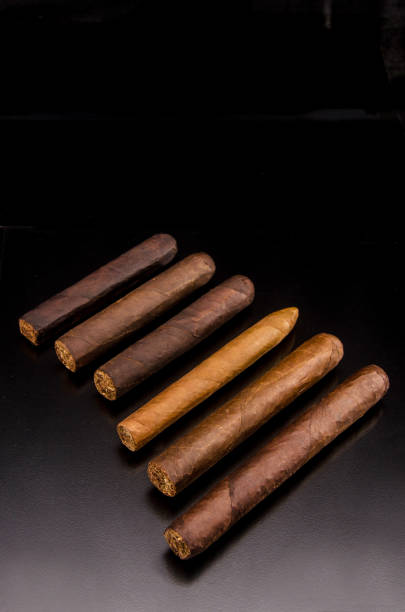 istock Collection of handmade cigars 1038473208