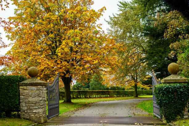 istock Lovely park  at autumn season 1038474068
