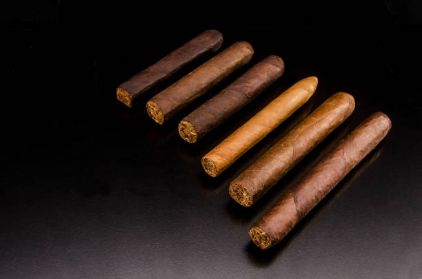 istock Collection of handmade cigars 1038477084