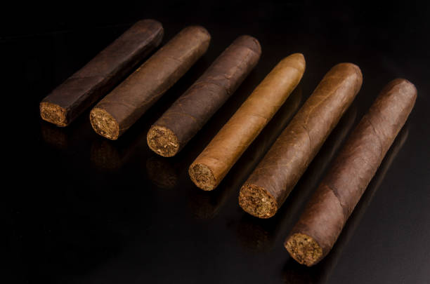 istock Collection of handmade cigars 1038477182
