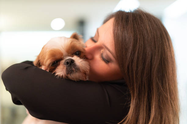 istock Woman with her Shih Tzu dog 1038482754