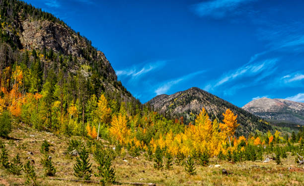 Autumn in Summit County, Colorado Autumn colors in Frisco, in the Colorado Rockies summit county stock pictures, royalty-free photos & images