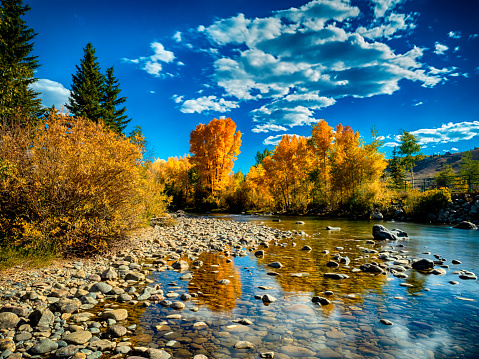 Autumn colors in Silverthorne, in the Colorado Rockies