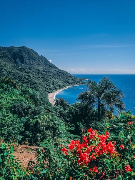 fiori rossi e lussureggianti montagne verdi con il blu del mar dei caraibi. - perfection nature balance stone foto e immagini stock