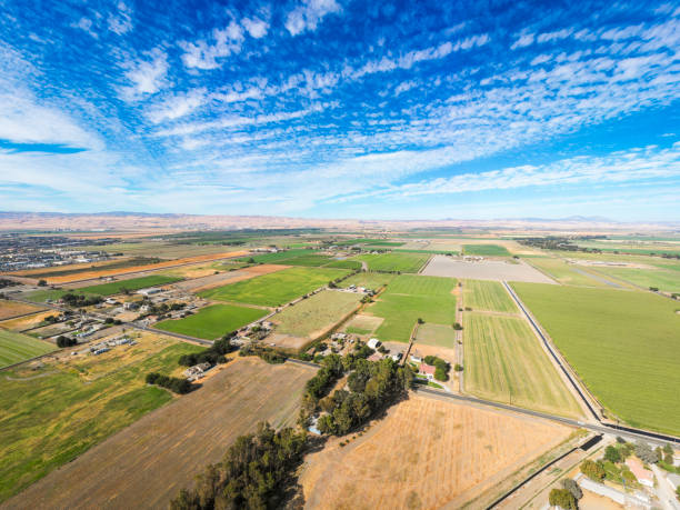 Aerial View of Farmland in California Aerial view of farmland in the heartland of California. country road road corn crop farm stock pictures, royalty-free photos & images