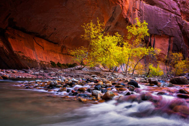 istock Zion Narrows at Autumn 1038546496