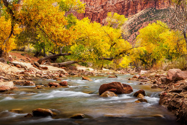 istock Zion National Park at Autumn 1038552214